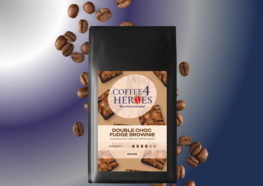 AAI- Double Choc Fudge Brownie Flavoured 500g