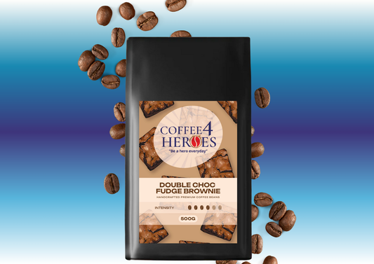 Double Choc Fudge Brownie Flavoured 500g- SAPL