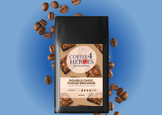 Double Choc Fudge Brownie Flavoured 500g-PLT